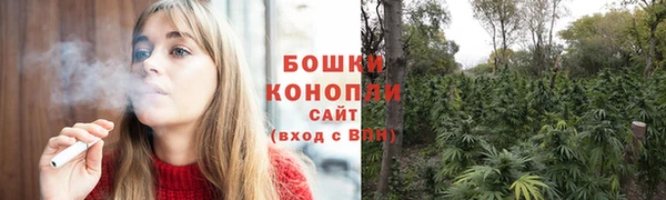 apvp Верея