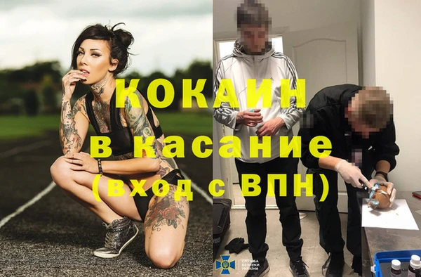 apvp Верея