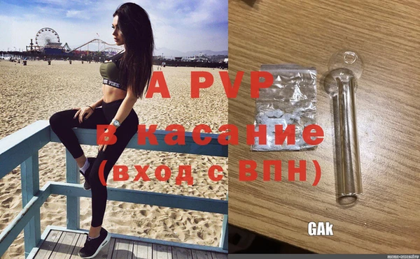 apvp Верея