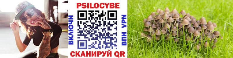 omg онион  Игарка  Псилоцибиновые грибы ЛСД 